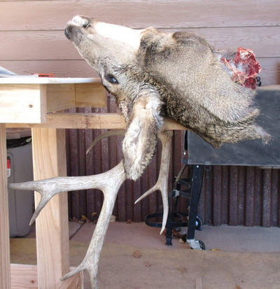 Chronic wasting disease found in Colorado’s Four Corners